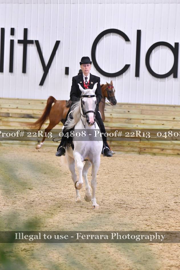 Proof 22R13_04808