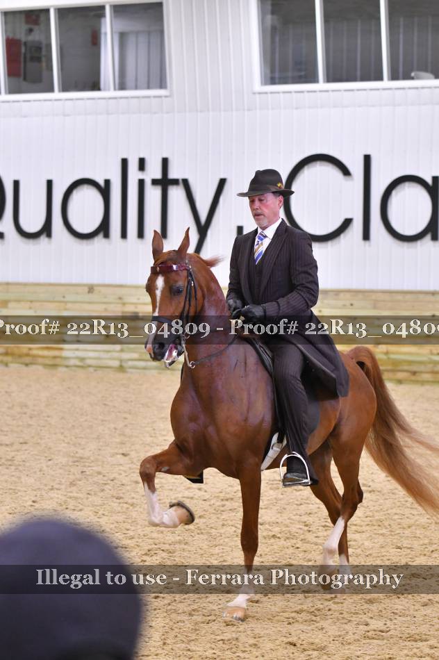 Proof 22R13_04809