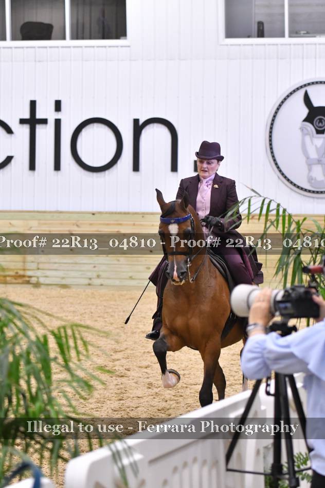 Proof 22R13_04810