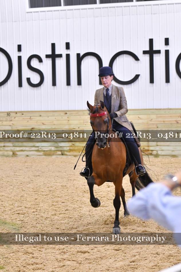 Proof 22R13_04811
