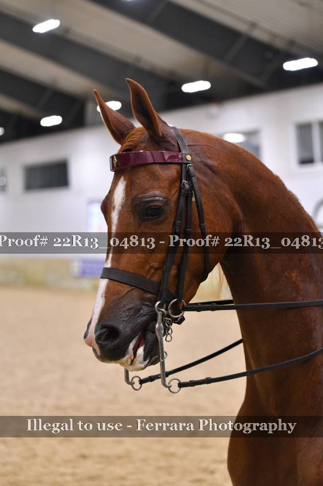 Proof 22R13_04813