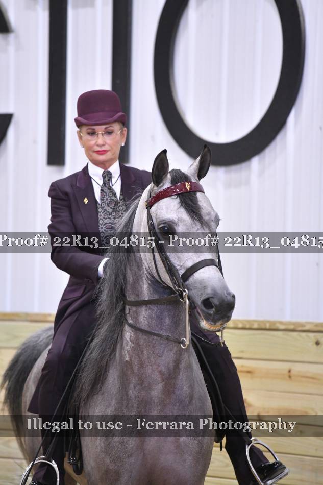 Proof 22R13_04815