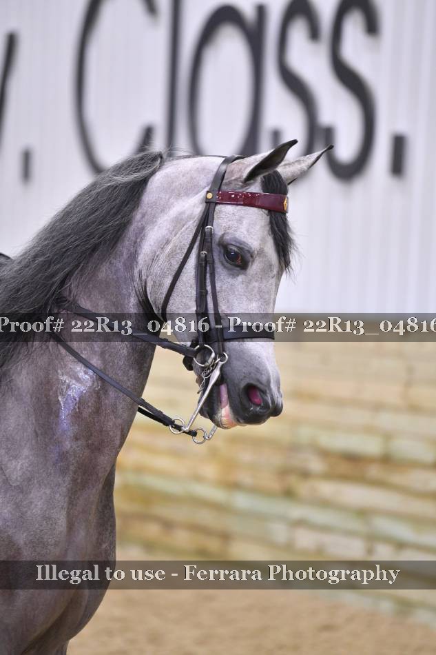 Proof 22R13_04816