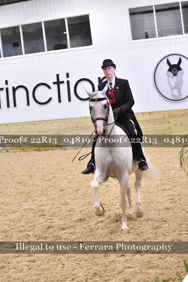 Proof 22R13_04819