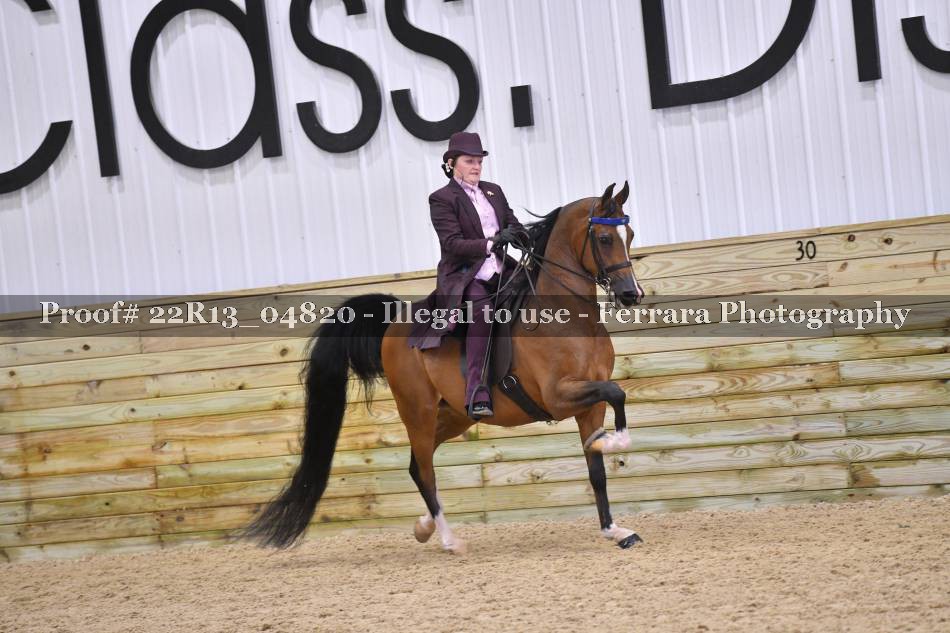 Proof 22R13_04820