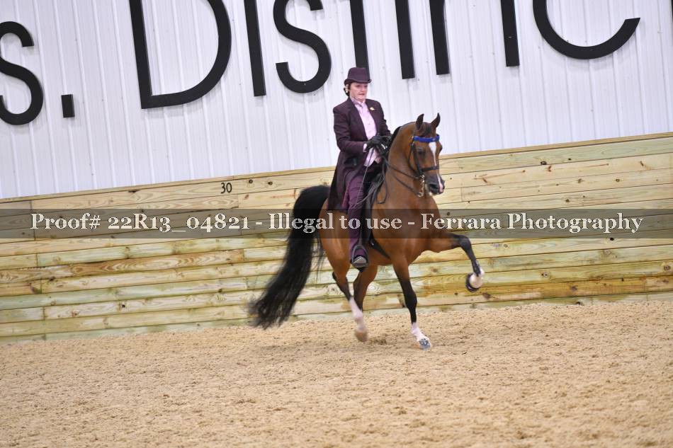 Proof 22R13_04821