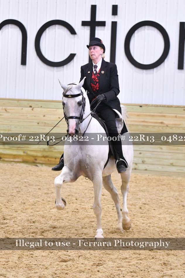 Proof 22R13_04822