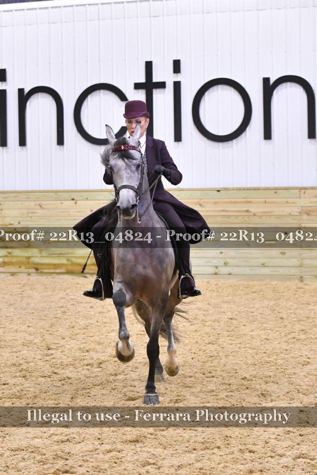 Proof 22R13_04824