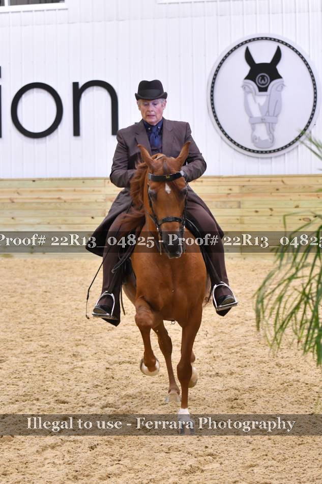 Proof 22R13_04825