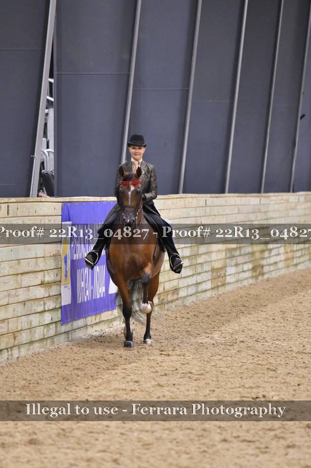 Proof 22R13_04827