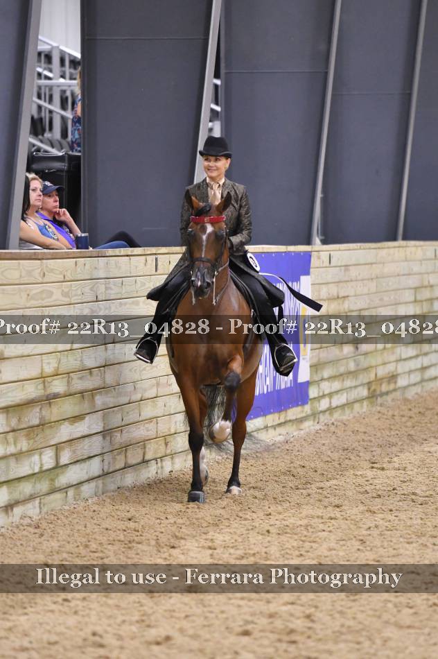 Proof 22R13_04828