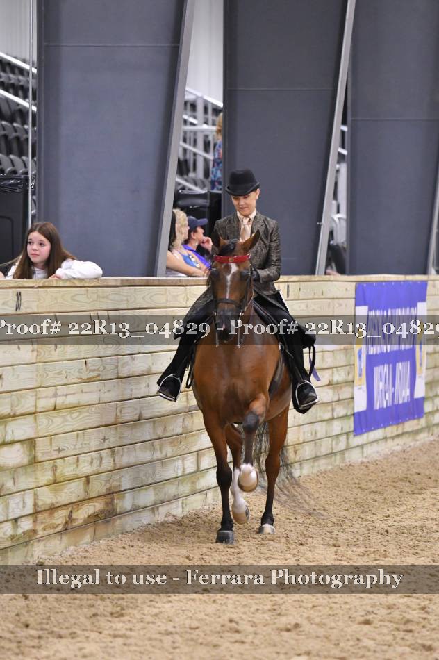 Proof 22R13_04829