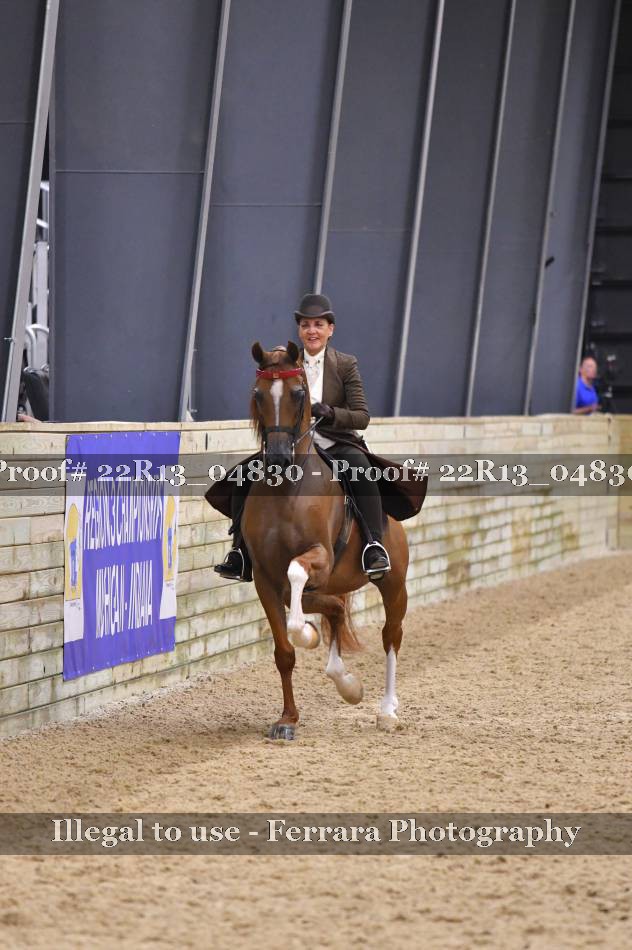 Proof 22R13_04830