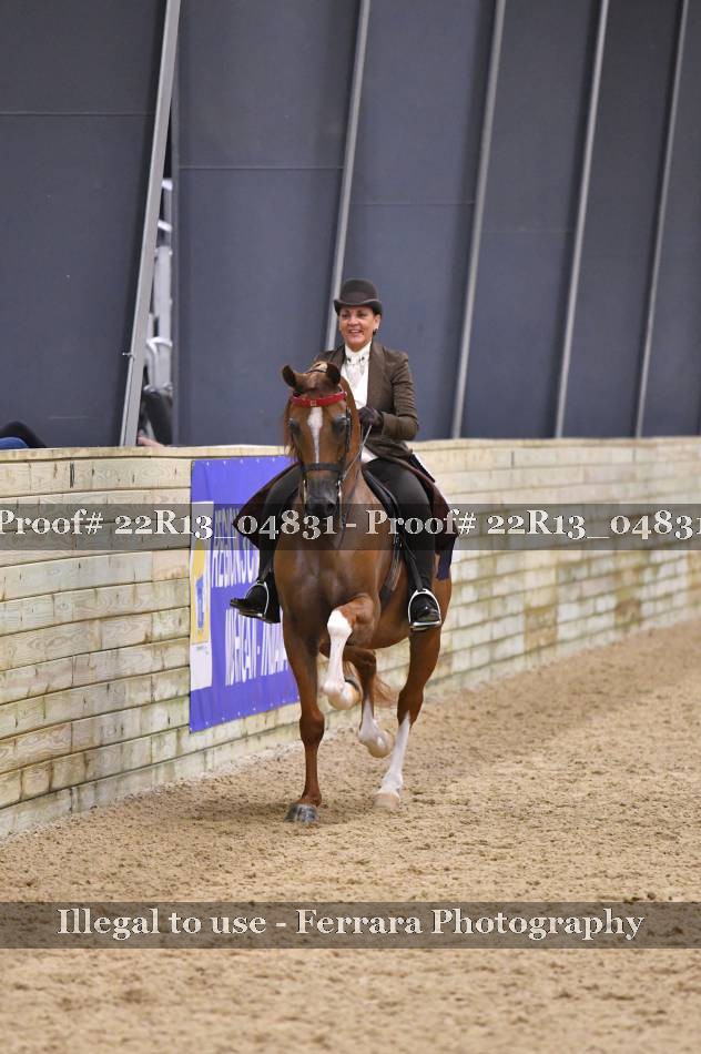 Proof 22R13_04831