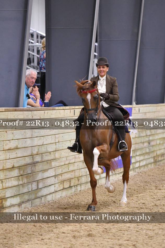 Proof 22R13_04832