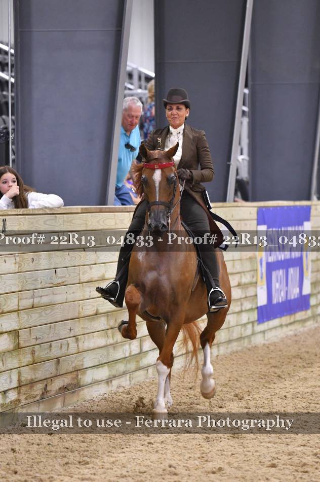 Proof 22R13_04833