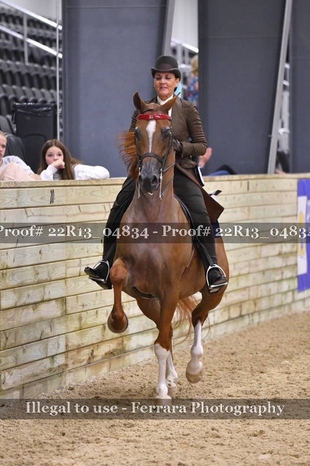 Proof 22R13_04834