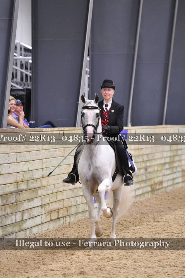 Proof 22R13_04835