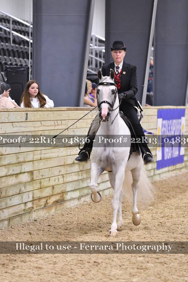 Proof 22R13_04836