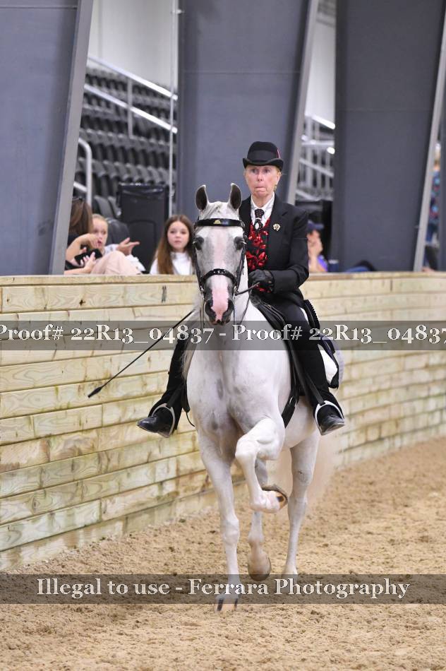 Proof 22R13_04837