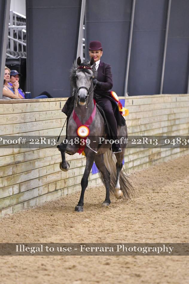 Proof 22R13_04839