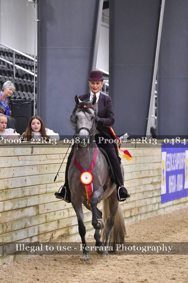 Proof 22R13_04841
