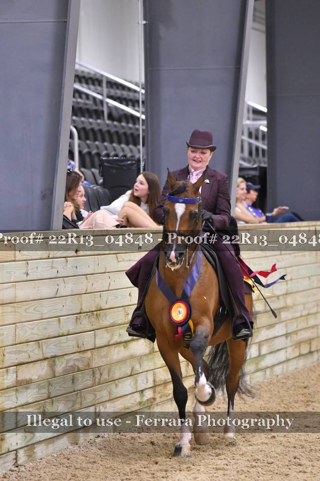 Proof 22R13_04848