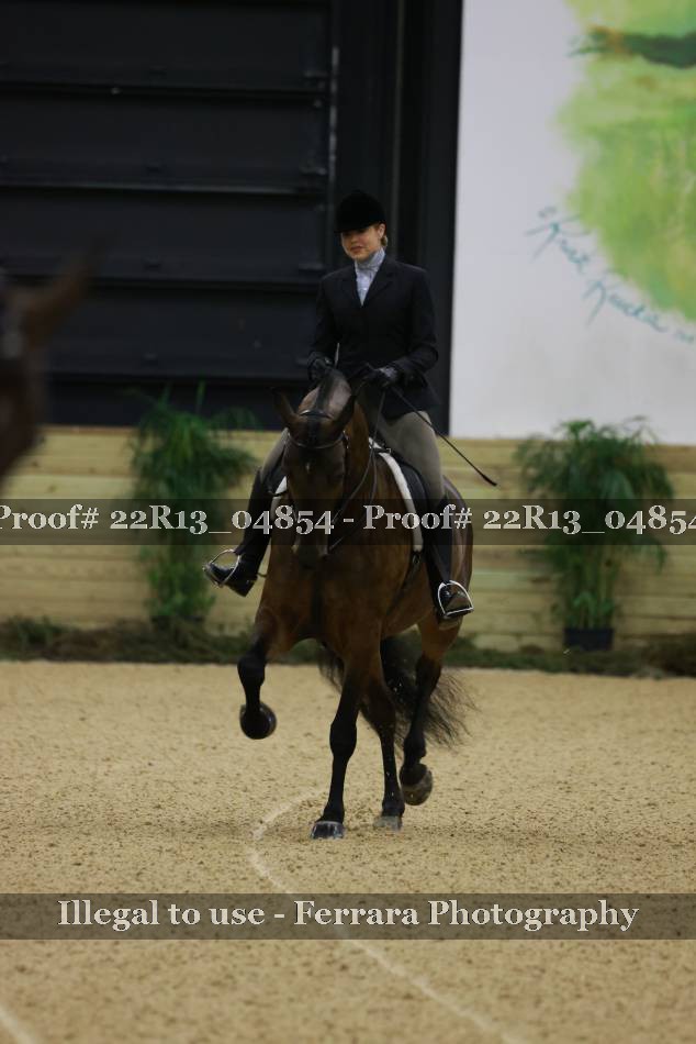 Proof 22R13_04854