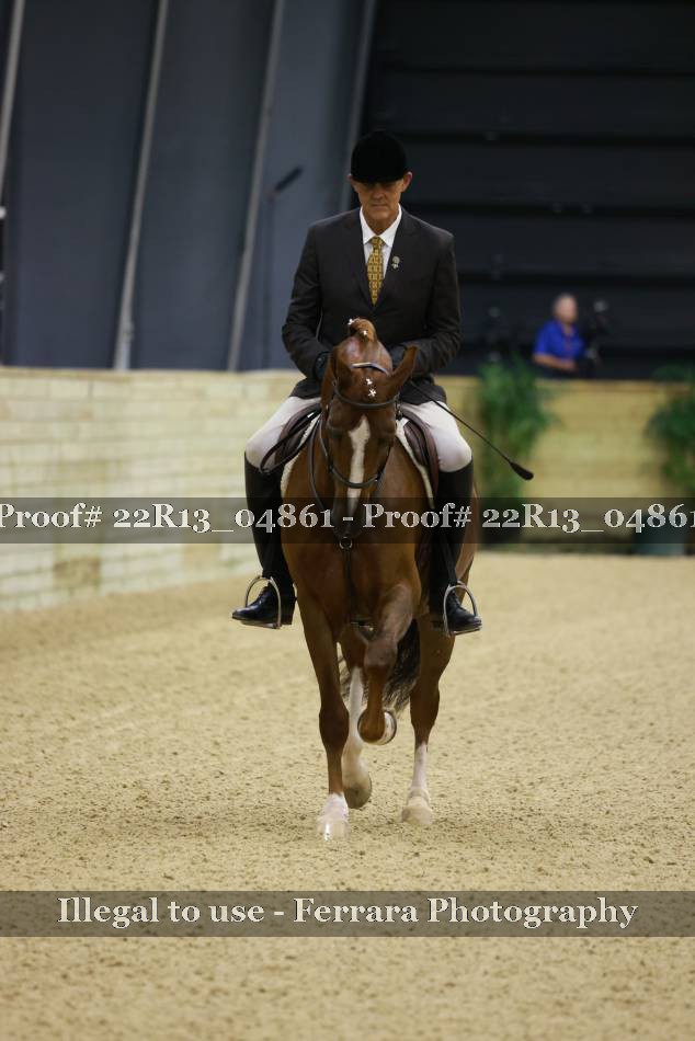 Proof 22R13_04861