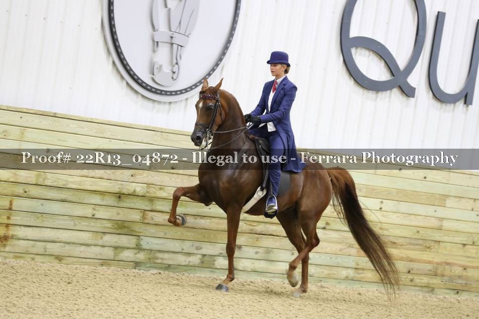 Proof 22R13_04872