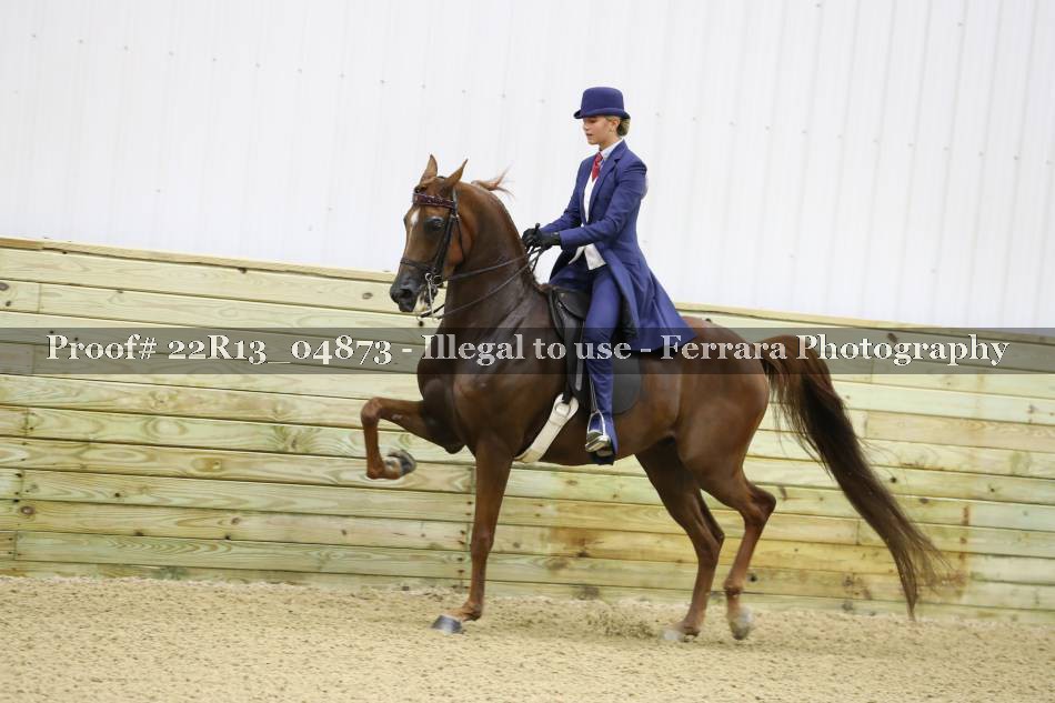 Proof 22R13_04873