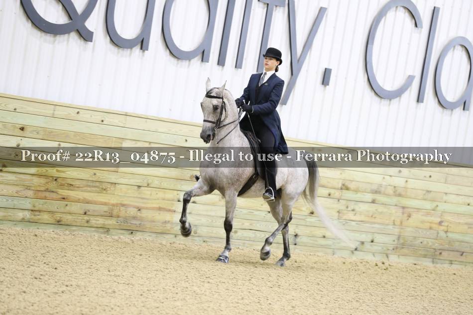 Proof 22R13_04875