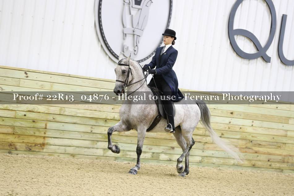 Proof 22R13_04876