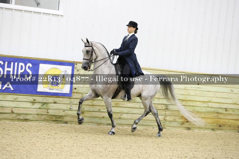 Proof 22R13_04877