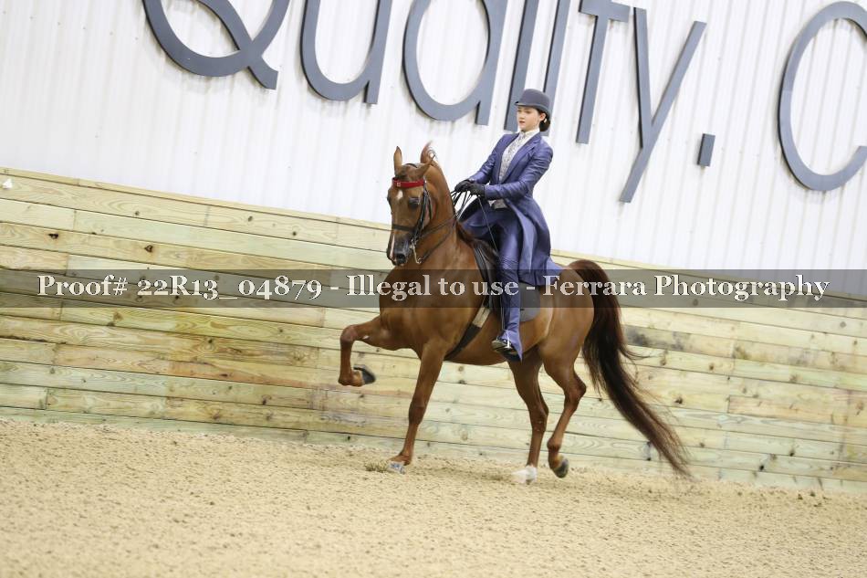 Proof 22R13_04879