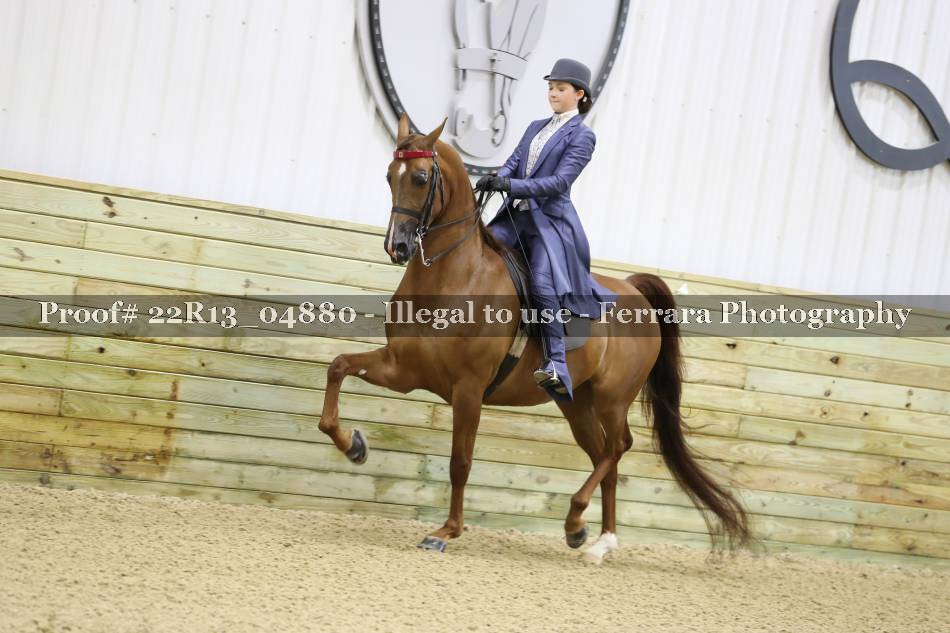 Proof 22R13_04880