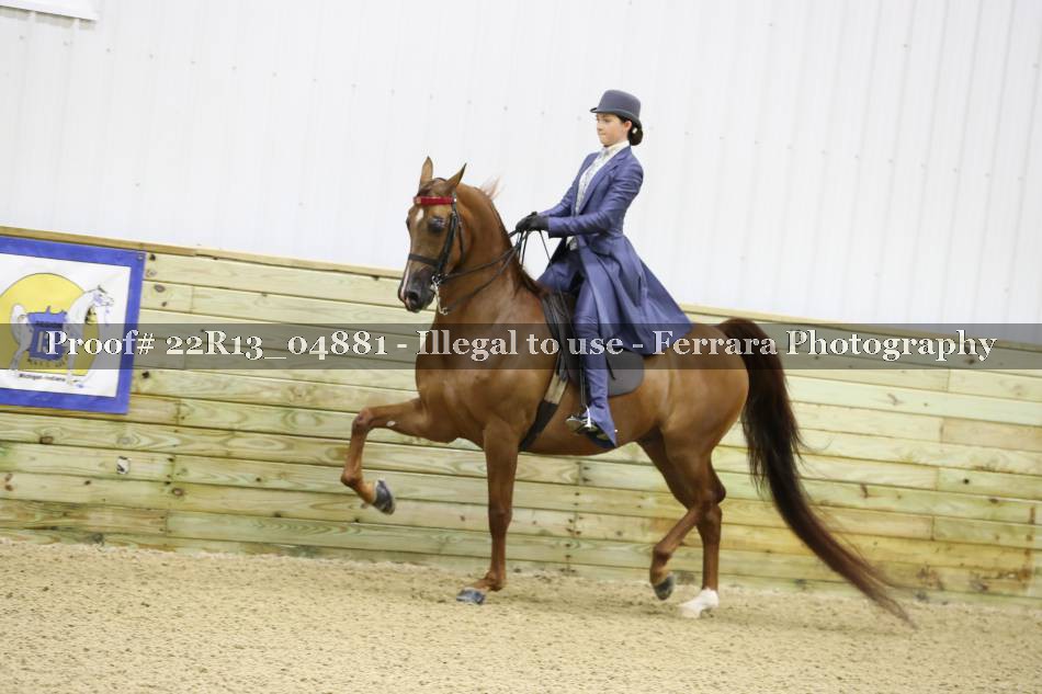 Proof 22R13_04881