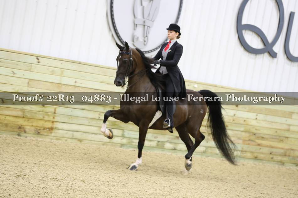 Proof 22R13_04883