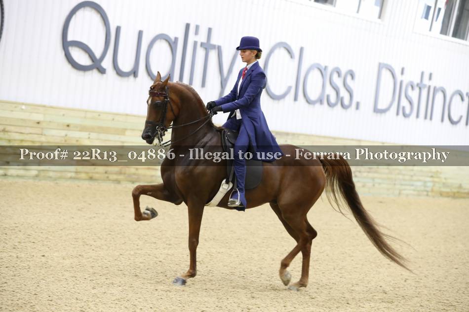 Proof 22R13_04886