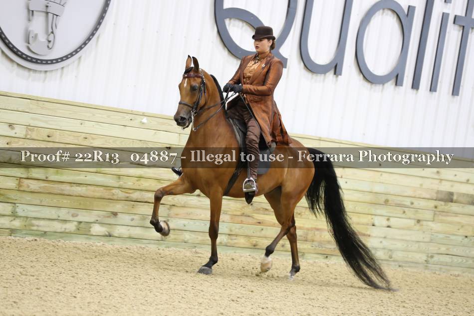 Proof 22R13_04887
