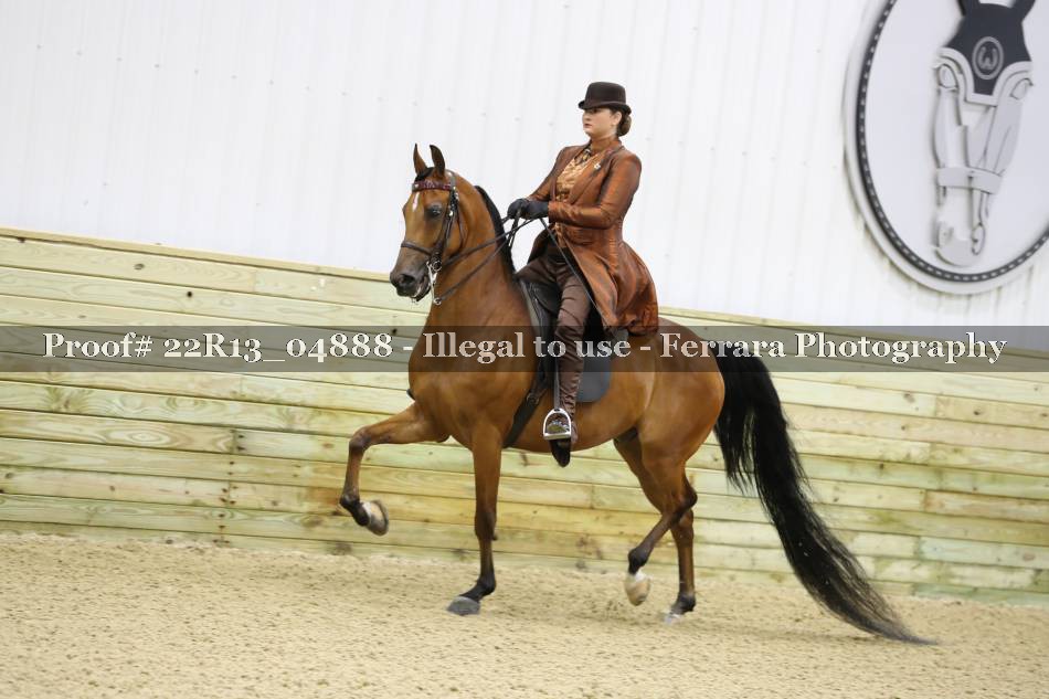 Proof 22R13_04888