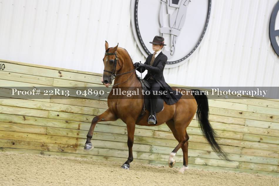 Proof 22R13_04890