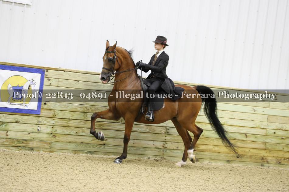 Proof 22R13_04891