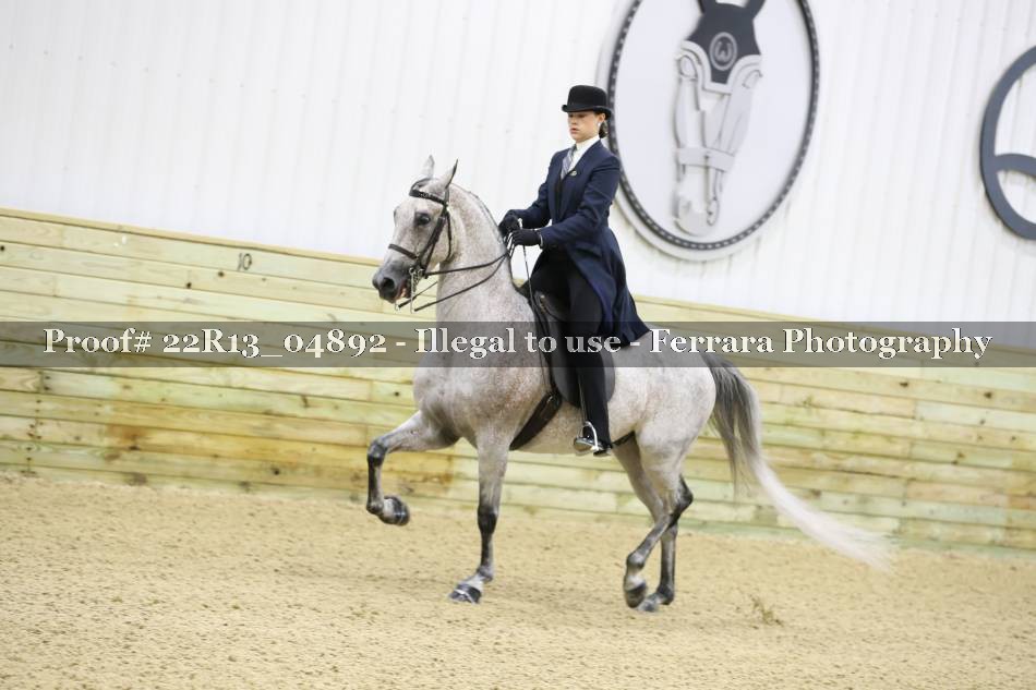 Proof 22R13_04892
