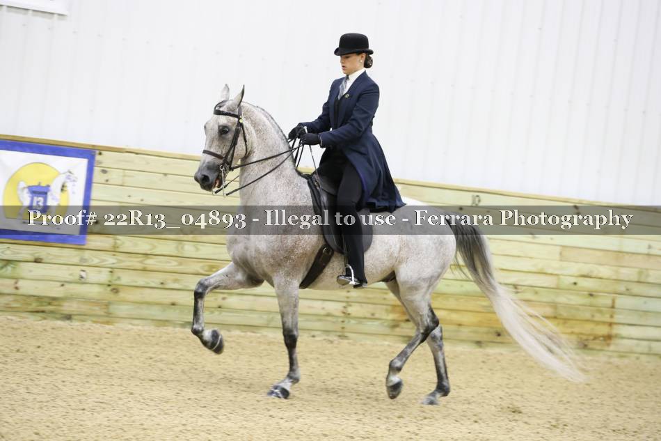 Proof 22R13_04893
