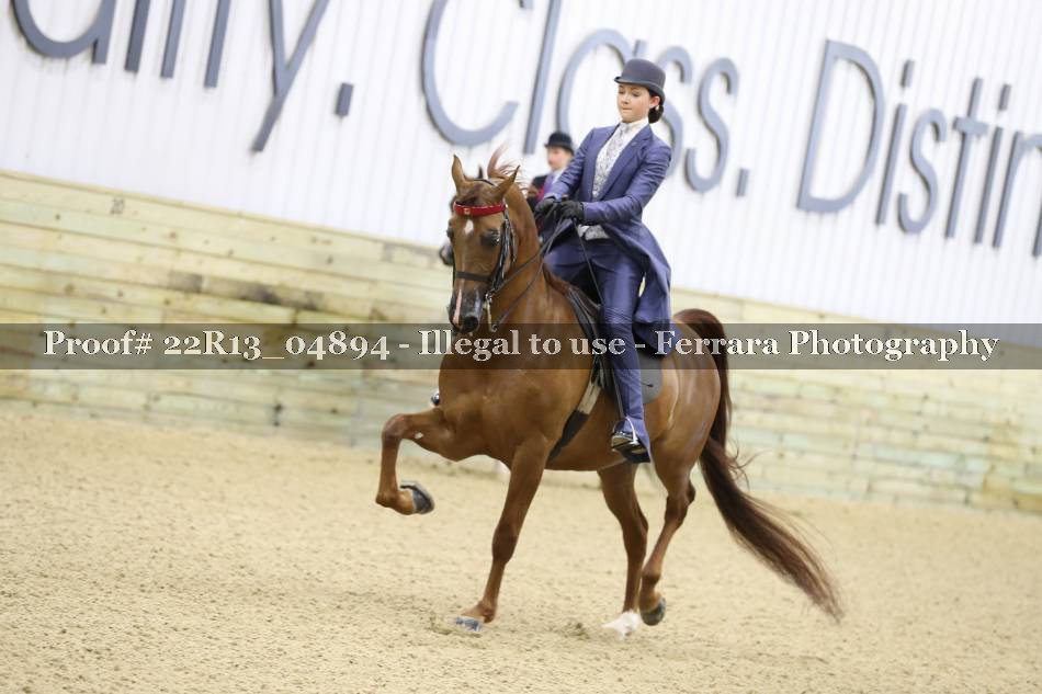 Proof 22R13_04894