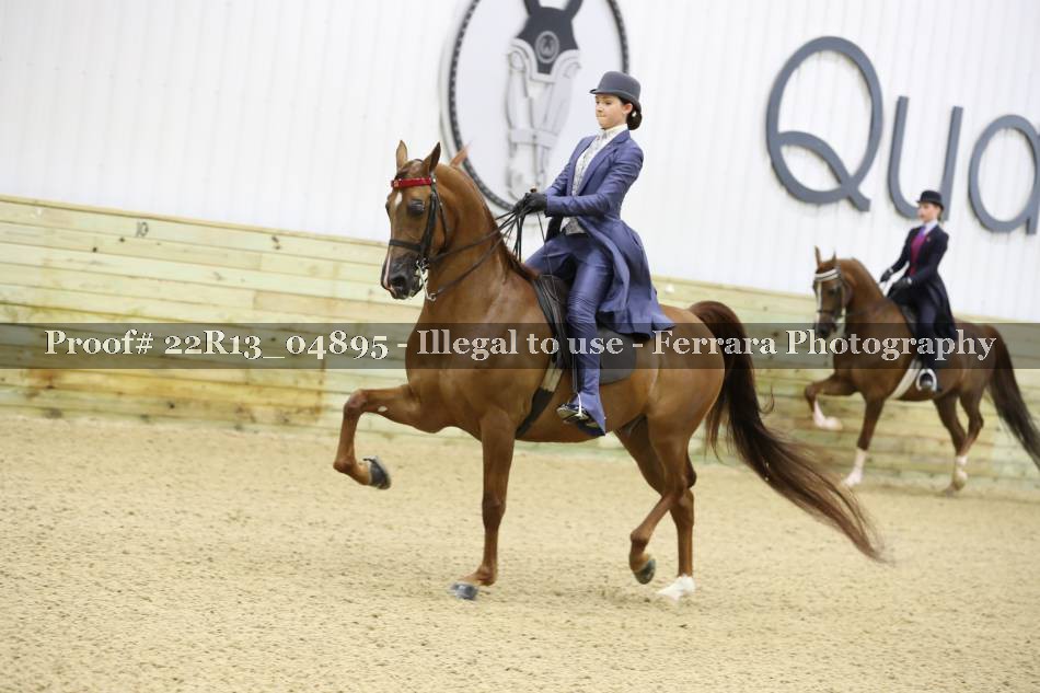 Proof 22R13_04895
