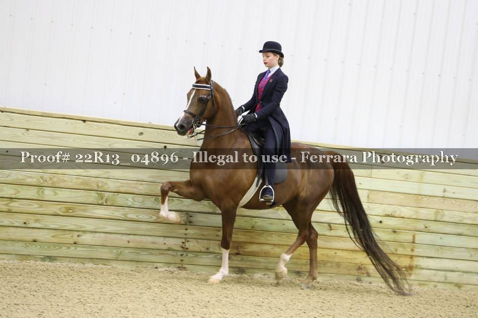 Proof 22R13_04896
