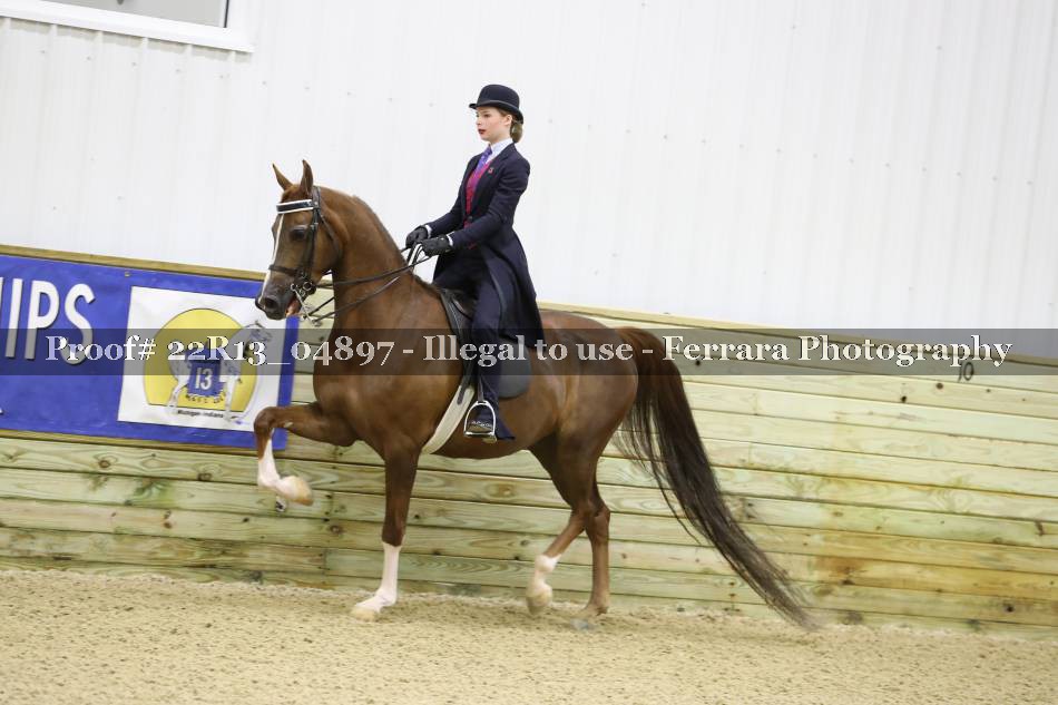 Proof 22R13_04897