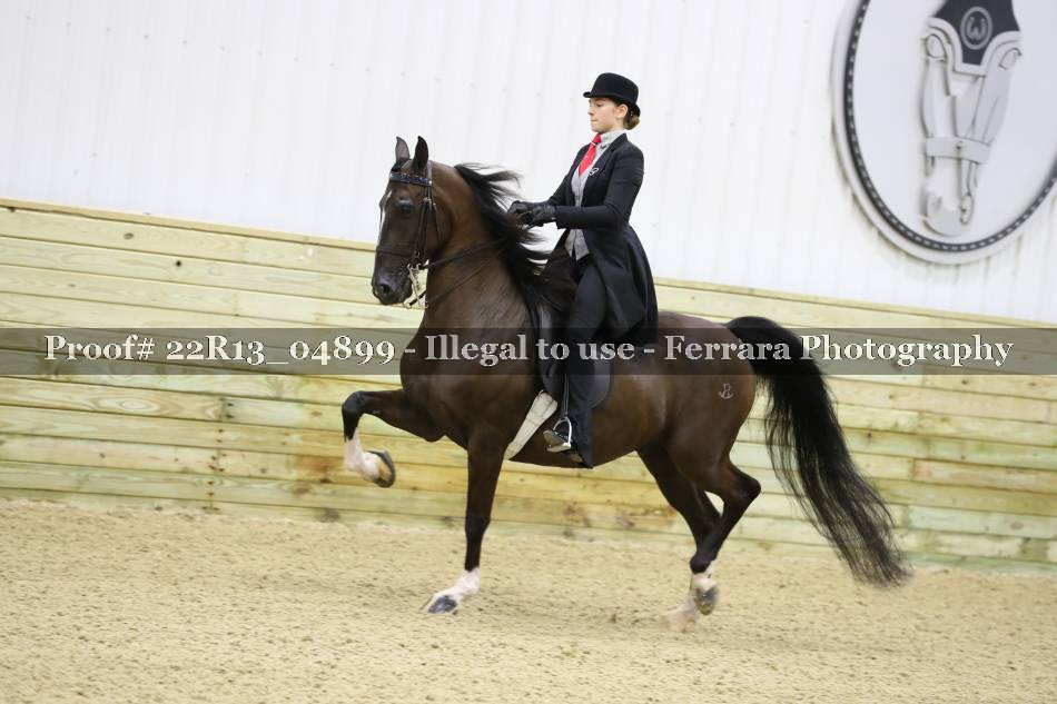 Proof 22R13_04899